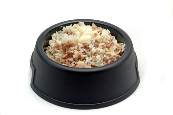 dog-bowl-ground-turkey-rice