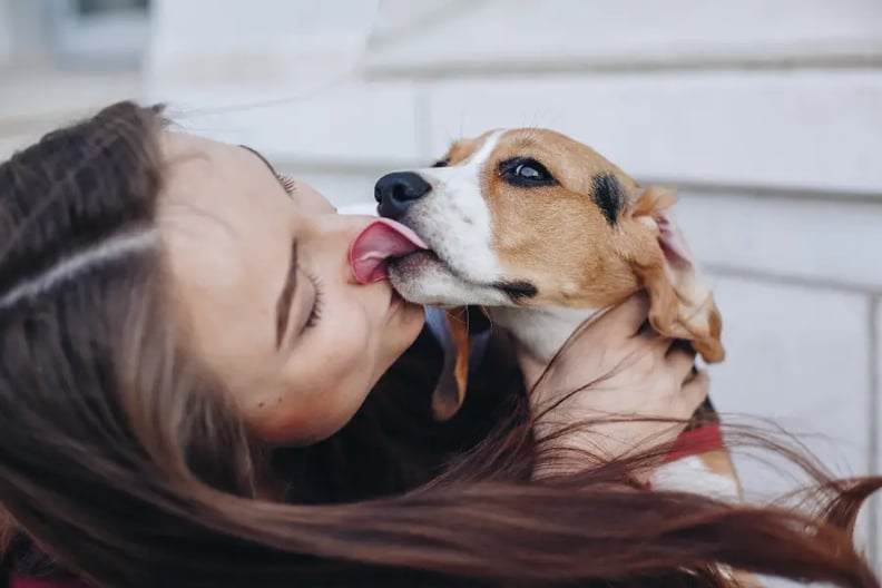 dog-licking-problems