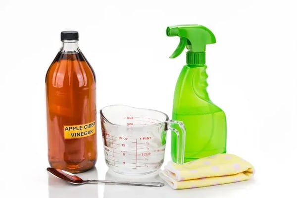 apple-cider-vinegar-water-spray