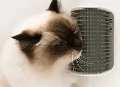 catit-senses-2-0-self-groomer-brushing