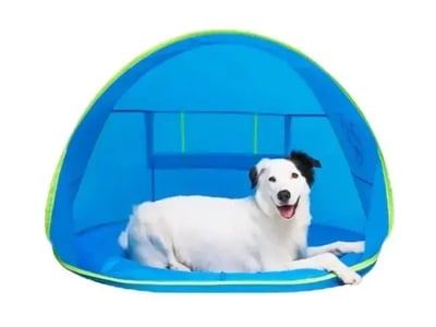 canada-pooch-cooling-station