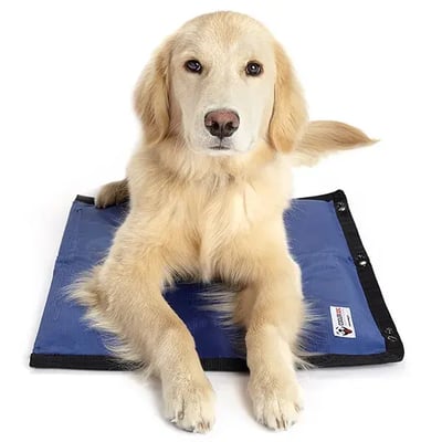 cooler-dogs-cooling-mat