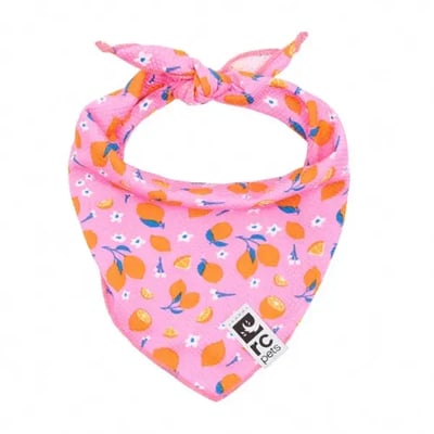 rcpets-zephyr-cooloing-bandana-zesty