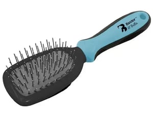 baxter-bella-brush-pin-dog