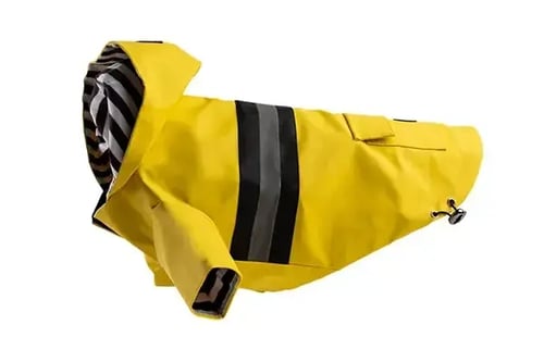 silver-paw-aden-raincoat-yellow