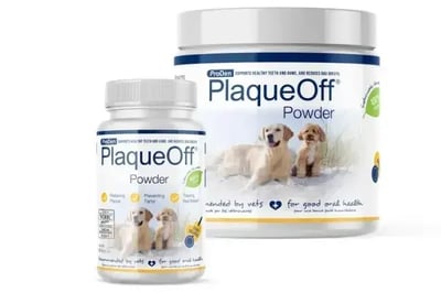 proden_plaqueoff_powder_dog