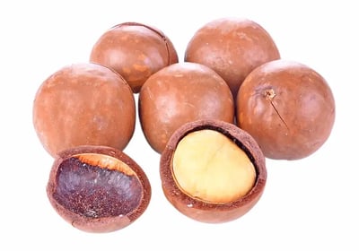 hazelnuts-in-shell