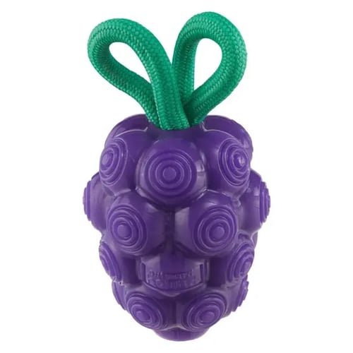 outward-hound-dental-grapes