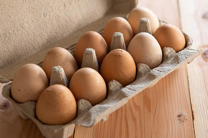 how many quail eggs to feed dog