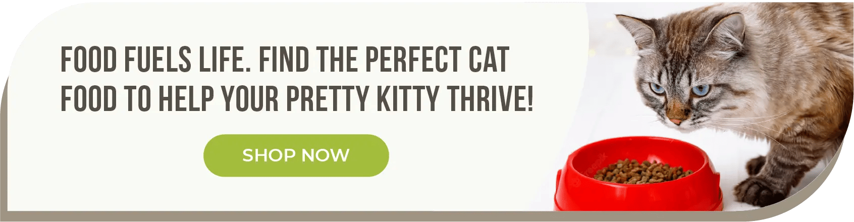cat-food-cta