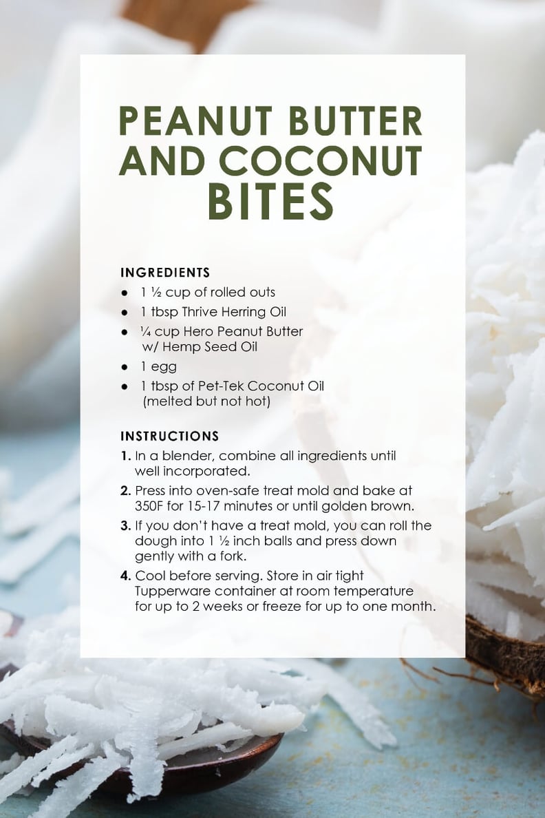 Dog Treat Recipes_CoconutS