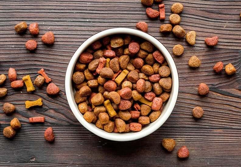 How to Read & Understand Pet Food Labels