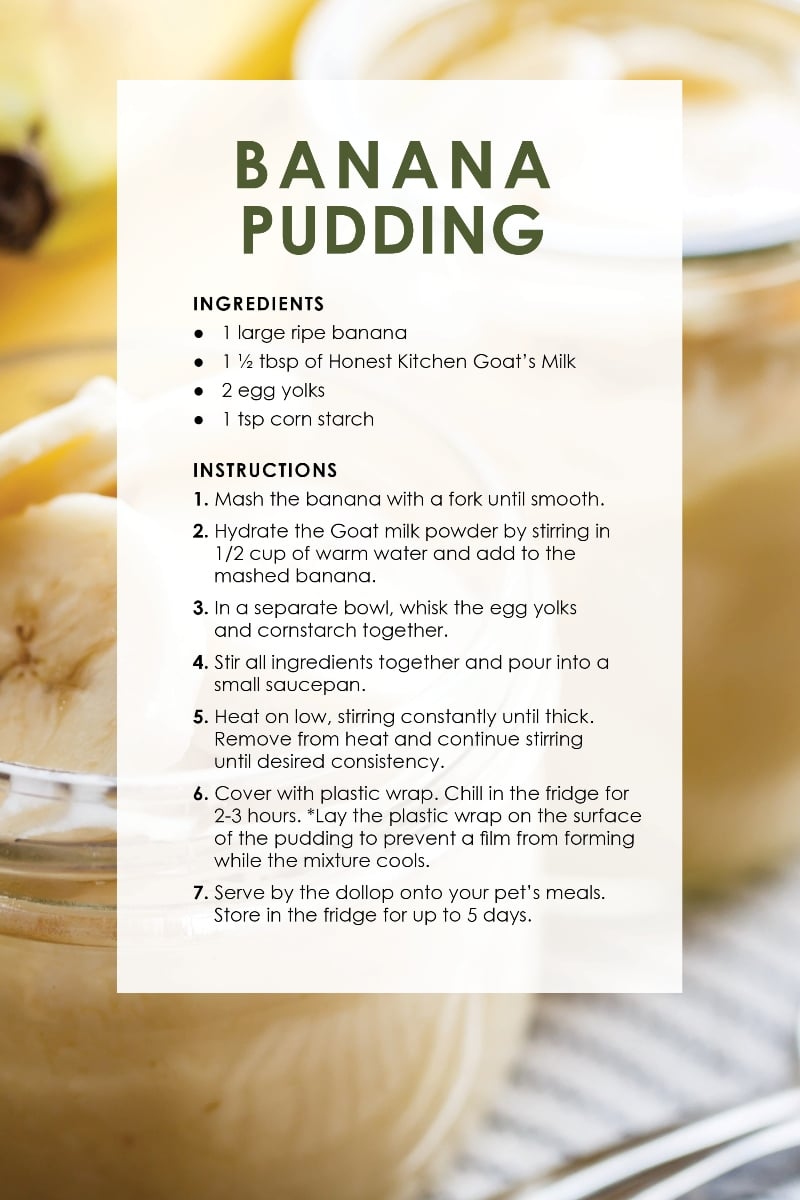anti inflammatory diet recipes for dogs