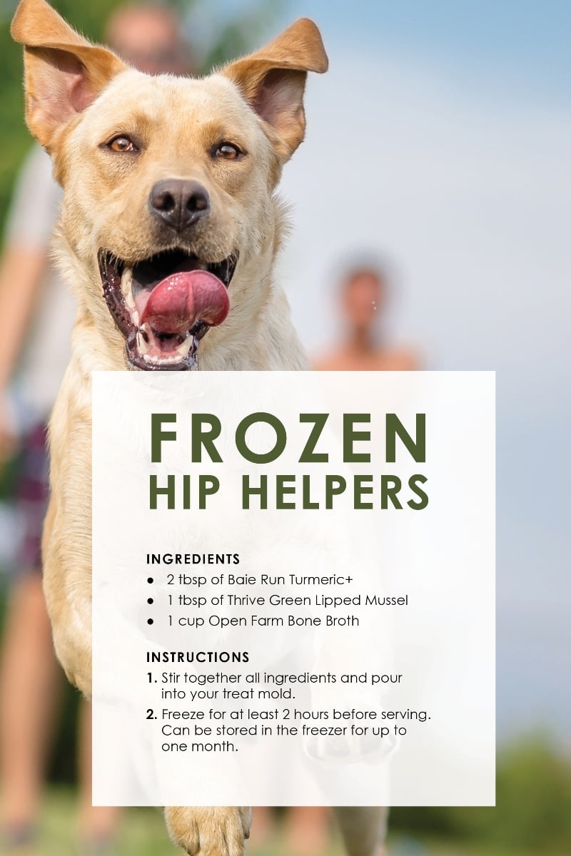 Dog Treat Recipes_HipS