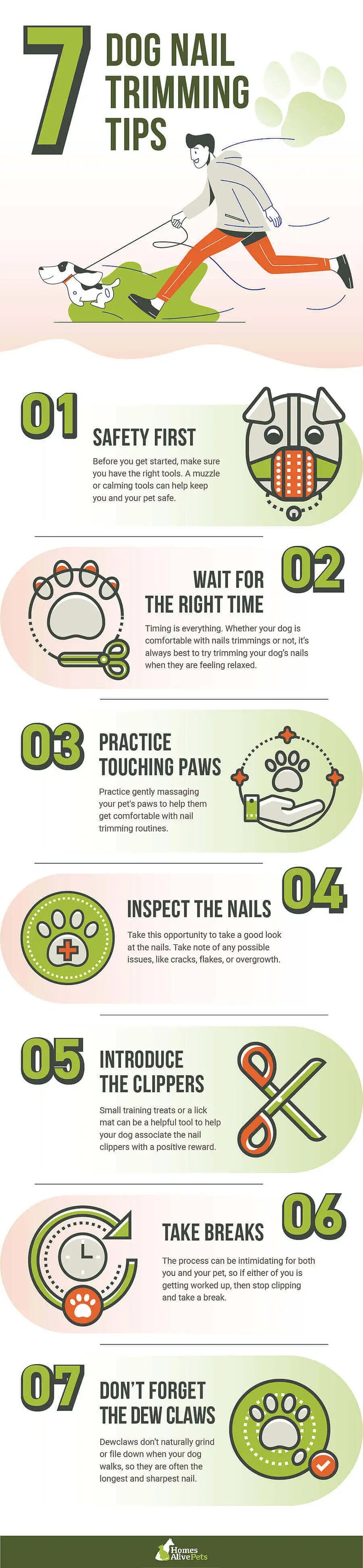 7 Dog Nail Trimming Tips - updated