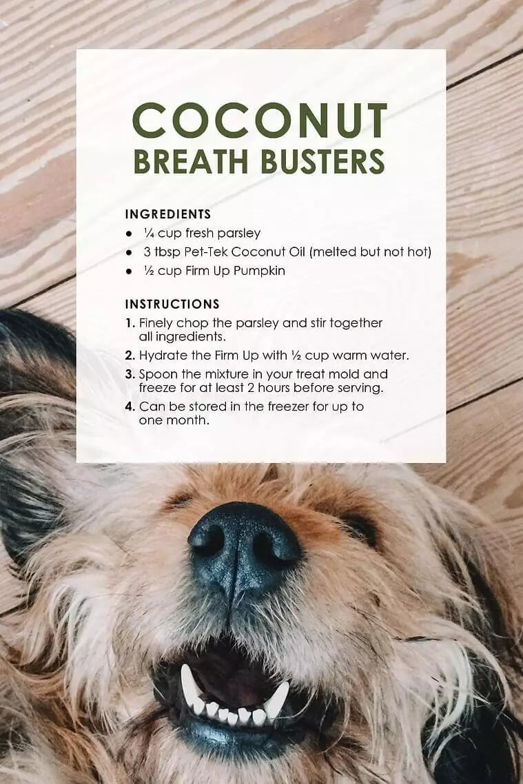 Coconut-breath-busters-S
