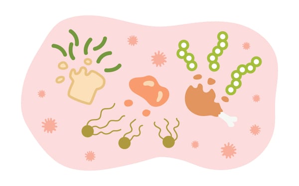 Digestive-Enzymes-800x400