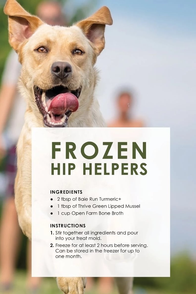 Dog Treat Recipes_HipS