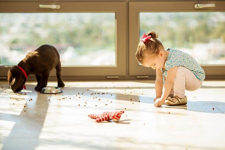 Lab puppy making a mess