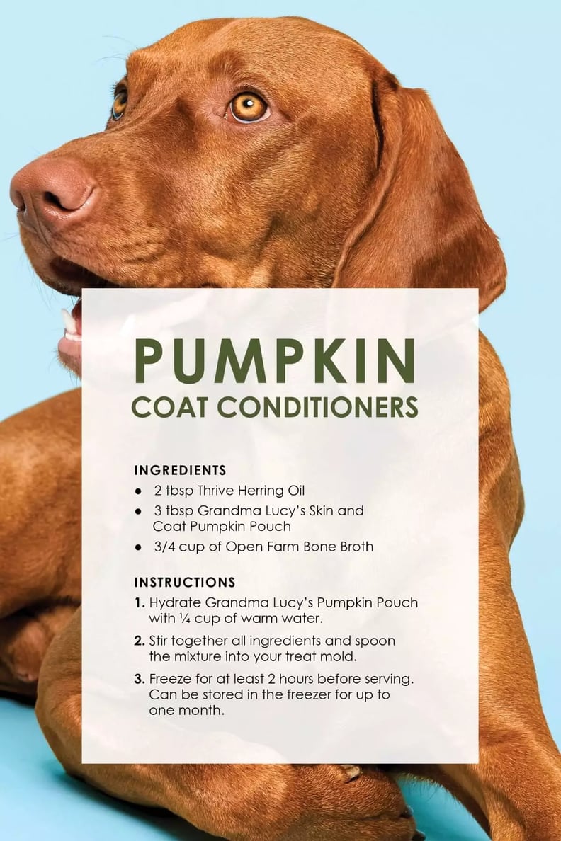 Pumpkin-coat-conditioners-s