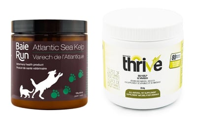 baie-run-thrive-kelp-supplements