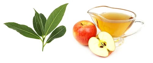 bay-leaves-apple-cider-vinegar