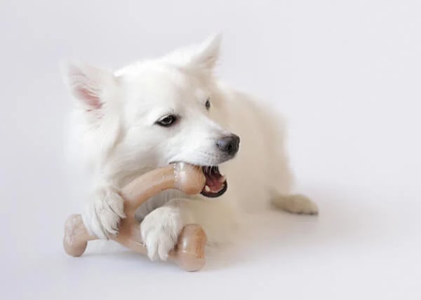 benebone-dental-toy