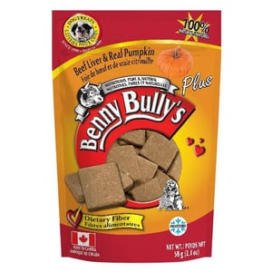 benny-bullys-pumpkin