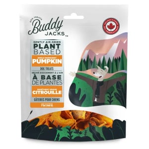 buddy-jack-vegan-treats-pumpkin-3