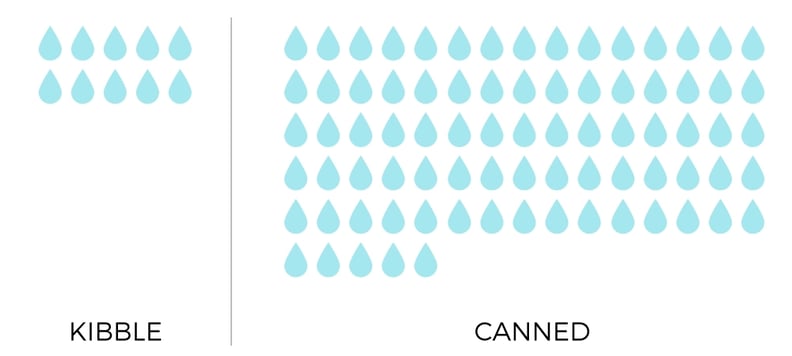 can-kibble-moisture-content