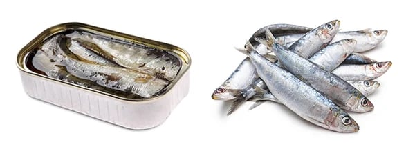 canned-vs-fresh-sardines