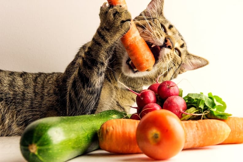 cat-eating-vegetables