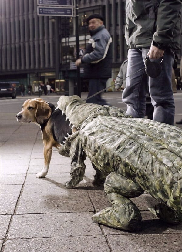 croc-attack-dog-costume