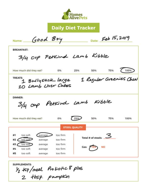 daily-diet-tracker-example (1)