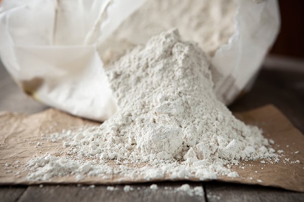 diatomaceous earth safe for dogs