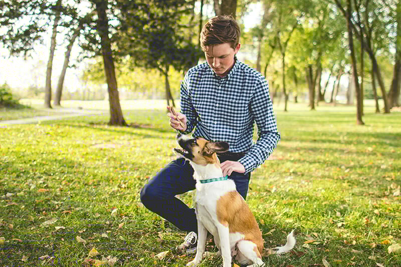 dog-owner-park-people-etiquette