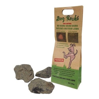 dog-rocks