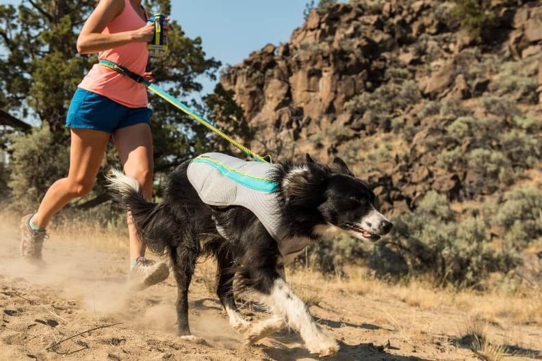 dog-running-wearing-Ruffwear-Swamp-Cooler