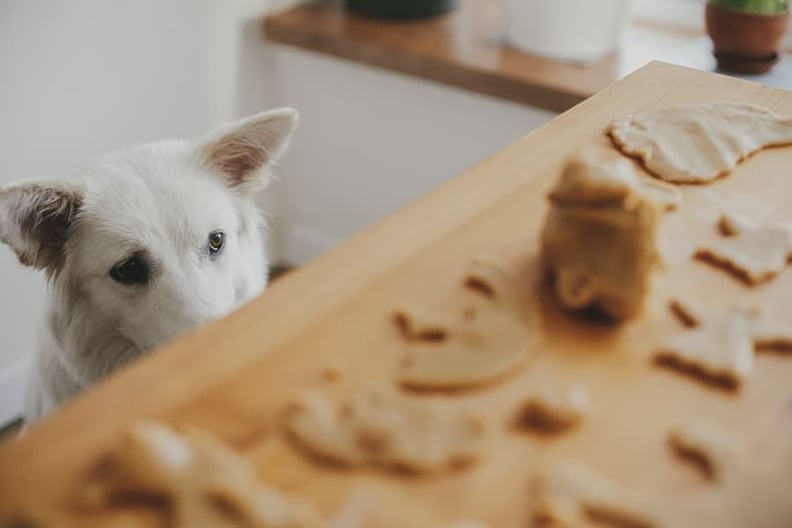 dog-watching-his-cookies-being-made