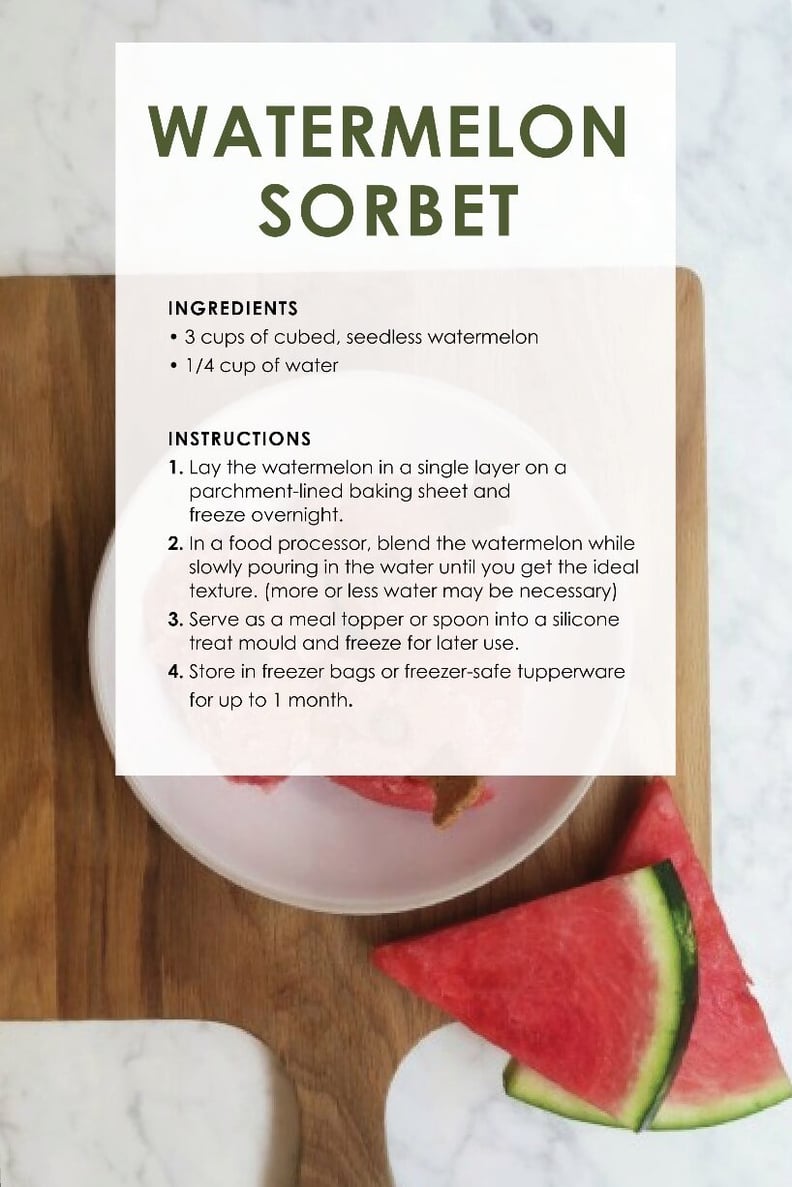 dog_treat_recipes_sorbet 