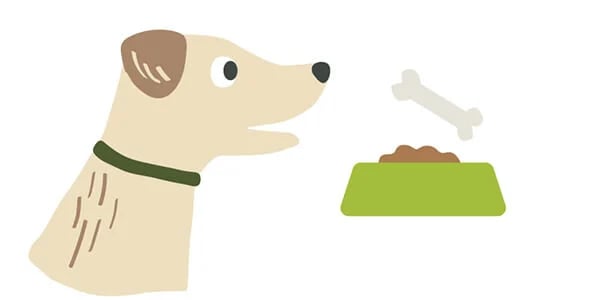 eating-habits-dog