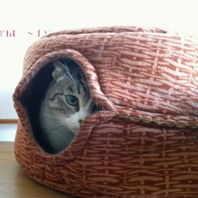 gosig-cat-nest