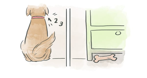 3 Signs Your Dog is Bored (And What to Do About It) - Puppy Leaks