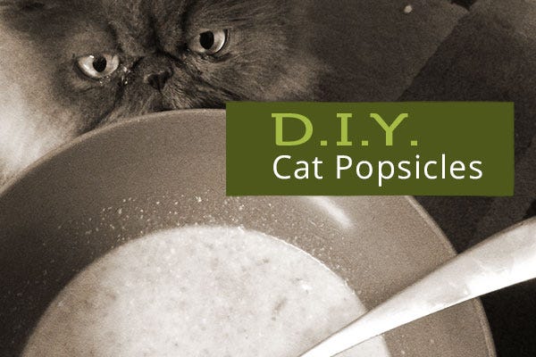 homemade-cat-popsicles