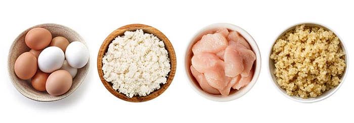 human-food-egg-chicken-quinoa-cottage-cheese