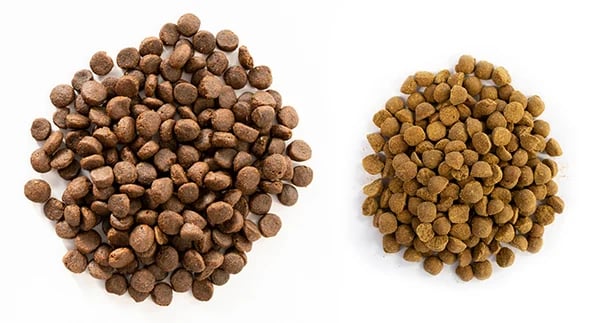 kibble-amount-sizes