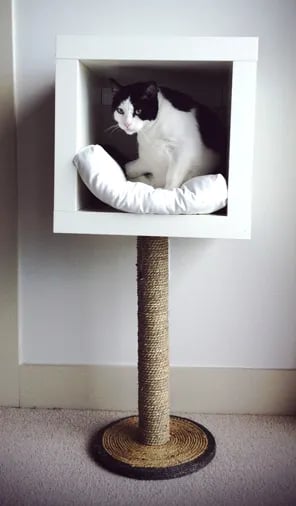 modern-cat-bed