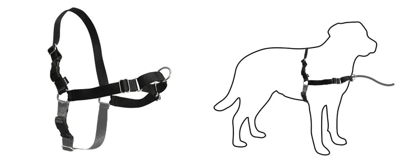 petsafe-front-hook-harness