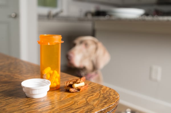 prescribed-medication-dog