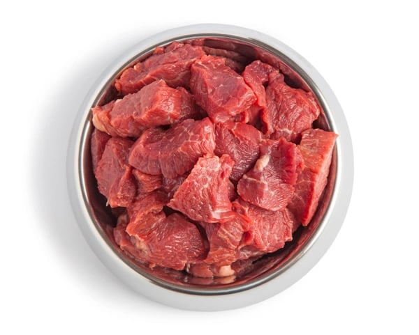 raw-meat-dog-bowl-1